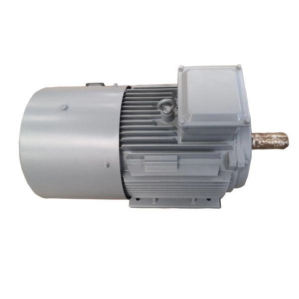 материал NdFeB редкой земли альтернатора постоянного магнита 300kw 30rpm 420V IP68