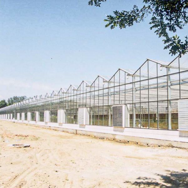 Advanced Glass Modern Greenhouse For Optimal Light Transmission And Heat Preservation