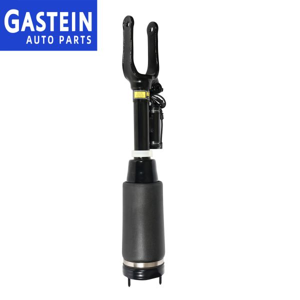 2153203113 2513203013 Front Air Ride Suspenion Systems