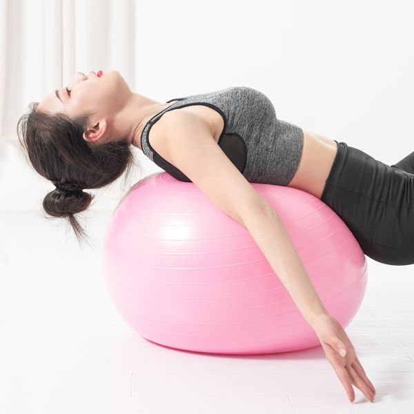 ZH Purple 45CM Inner Thigh Workout Yoga Ball 1600g Fitness Gear Stability