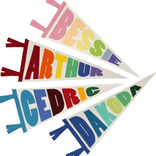 Sublimation 100D 150D Polyester Felt Pennant Flag 30x76cm