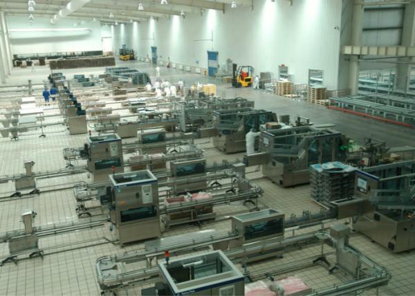 Pillow - Shape Packaged Dairy Production Line , Milk Products Manufacturing Machines