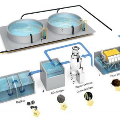 Filtro de tambor rotativo para aquicultura Pecuária Separação por membrana Tratamento biológico