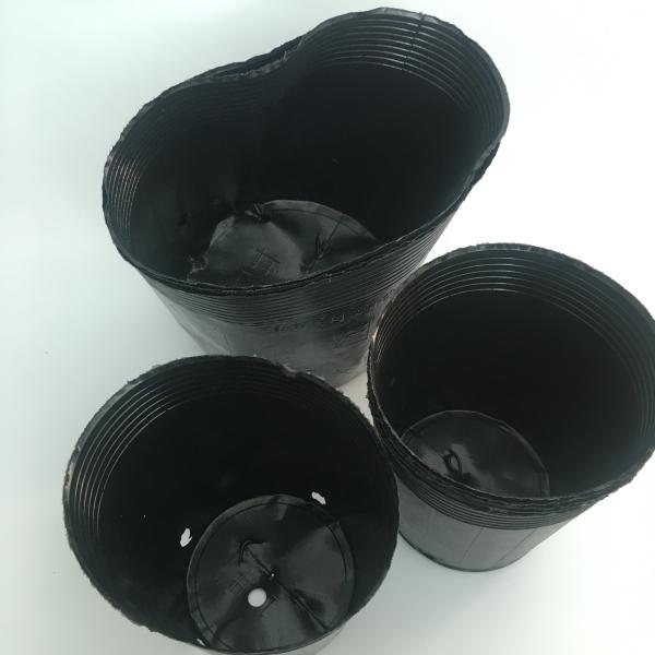 Potenciômetros plásticos da planta interna do PE do potenciômetro 27cm do berçário do espaço livre pequeno de Orchid 10L da cerca