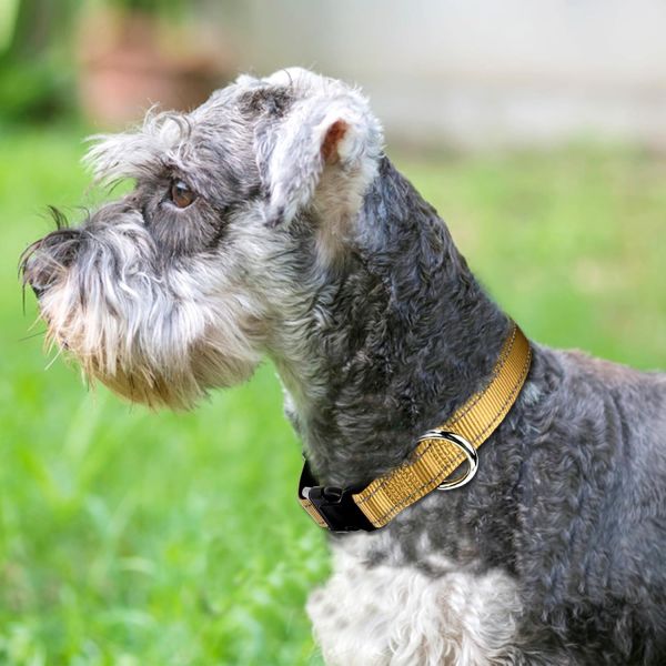 Adjustable Waterproof Flashing Light Up Dog Collar for Nighttime Walking Customized