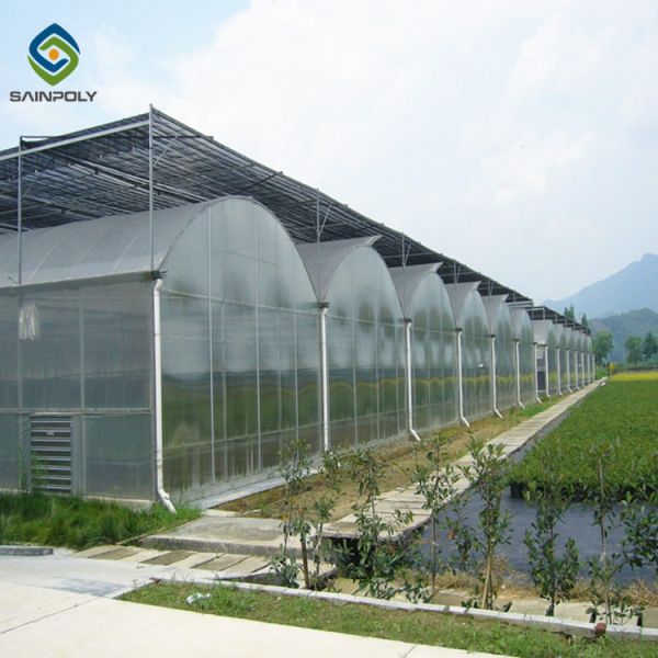 Multi span pc greenhouse Sainpoly agricultural greenhouse invernadero polycarbonate other greenhouses