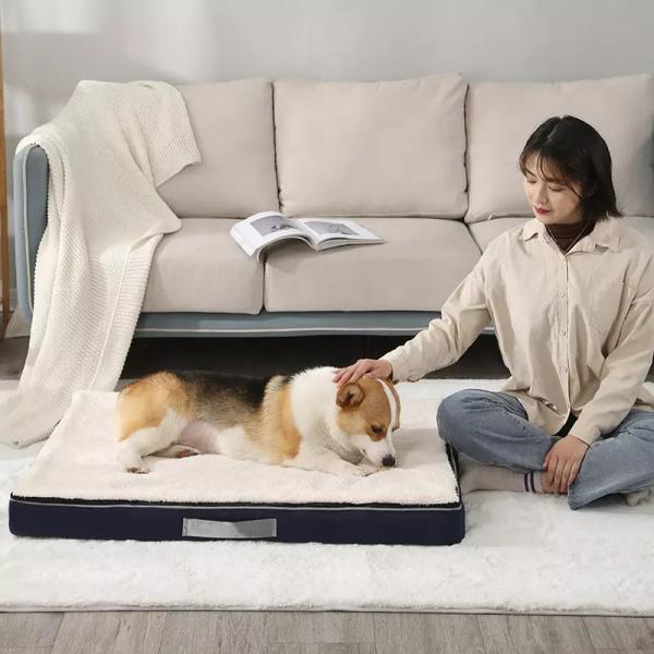Fabricação de ótima qualidade multicores Oxford cama para animais de estimação legal à prova de umidade camas para cães sofá cama almofada para gato de estimação cão