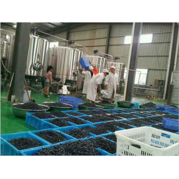 Завод по переработке тропической фруктовой соки для производства из нержавеющей стали 304/316 6000BPH