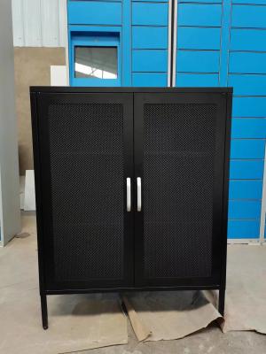 Home Series 2 Glass Door Steel Storage Cabinet With Feet