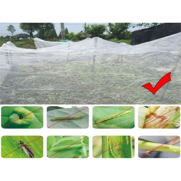 5m Width Anti Insect Net For Garden Plant Protection Insect Proof Mesh