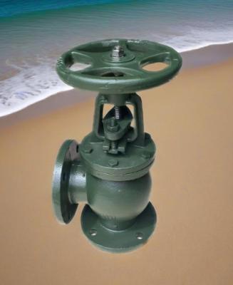 ANSI angle valve