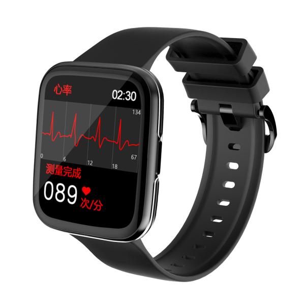 Hazel Zg21 Smartwatch 1.69inch TFT 240x280 Message Reminder OEM Wristband