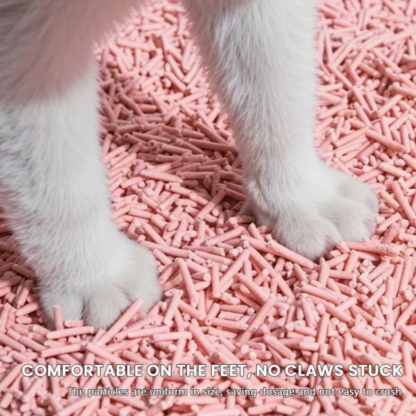 Différentes saveurs Tofu Litter de chat Pet Safe Non toxique Poids léger Bonne solubilité dans l'eau