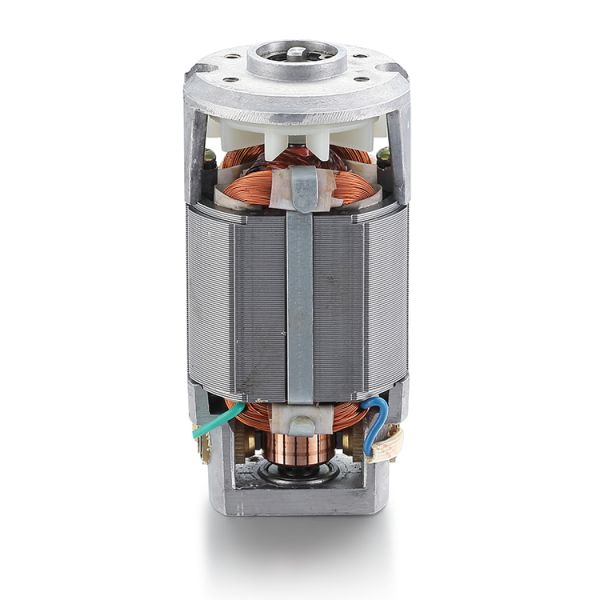 40w Rated Power AC Synchronous Universal Motor for 110v 220v Single Phase Electric Motor
