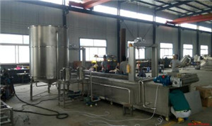automatic peanut frying line 1t/h, peanut frying machine, deoiling machine