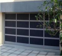 frecuencia ajustada 550m m de la operación de la puerta seccional de aluminio de la altura alta