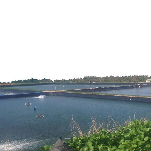 Anti-seepage HDPE Geomembrane Liner for Environmental Projects Material