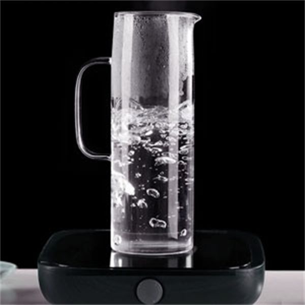 Household Juice Zapper with Thickened High Borosilicate Glass and Stainless Steel Lid