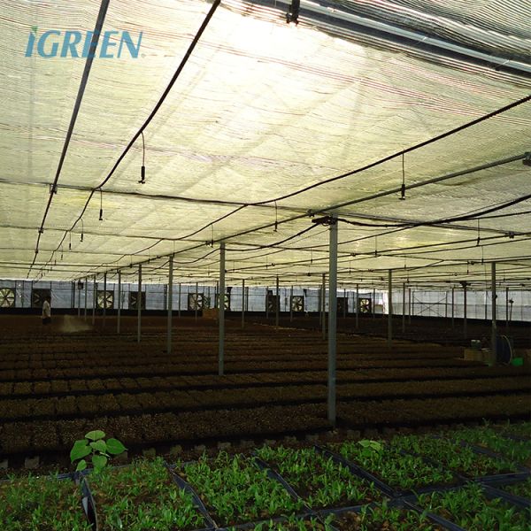 Коммерческая оранжерея для орхидей с каркасом из оцинкованной стали для профессиональных цветоводов