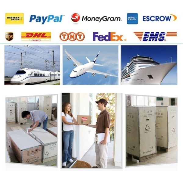 Multifunction 2000W E-light IPL RF Laser Hair Removal Machine , SHR IPL Machine