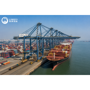 Professional Ocean Freight DDP Shipping from China to USA for Heavy Machinery