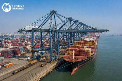 Professional Ocean Freight DDP Shipping from China to USA for Heavy Machinery