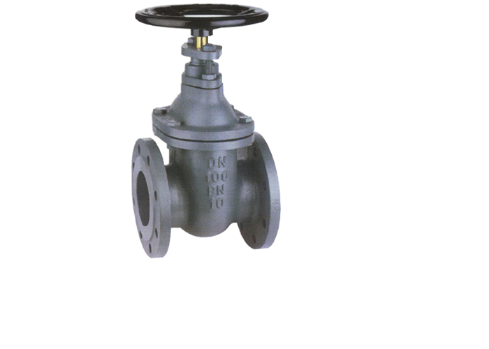 Flanged A105 WCB Body CS Gate Valve RTJ Rising Stem Gate Valve Cast Steel