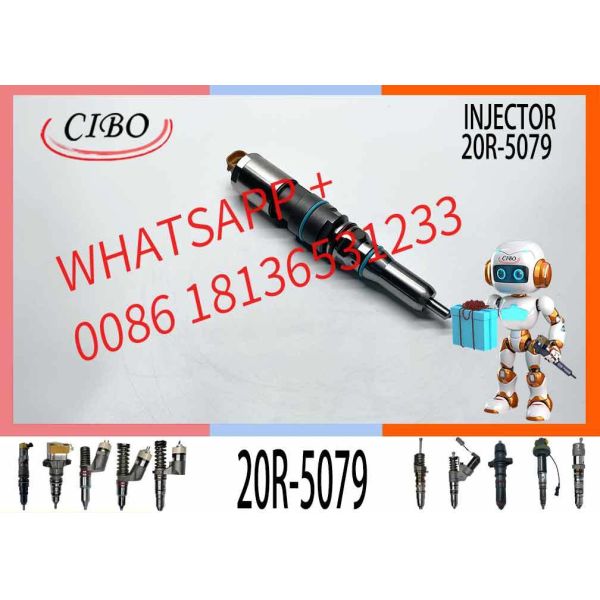 High Quality Diesel Fuel Injector C9.3 456-3493 20R-5036 367-4293 20R-5079 for  Excavator Engine EXCAVATOR PART