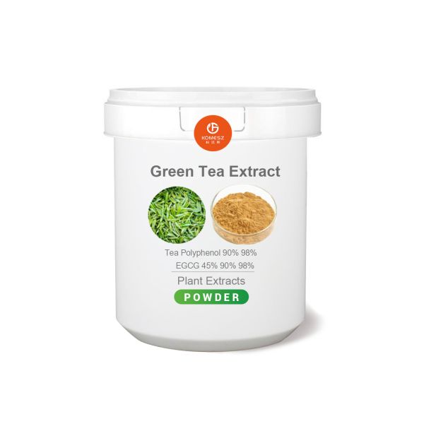 工場供給 EGCG 98 ポリフェノールを含む緑茶抽出物
