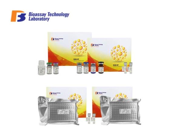 Customized NOTCH1 Human ELISA Kit / 96 Wells Elisa Sandwich Test Kit CE Approval