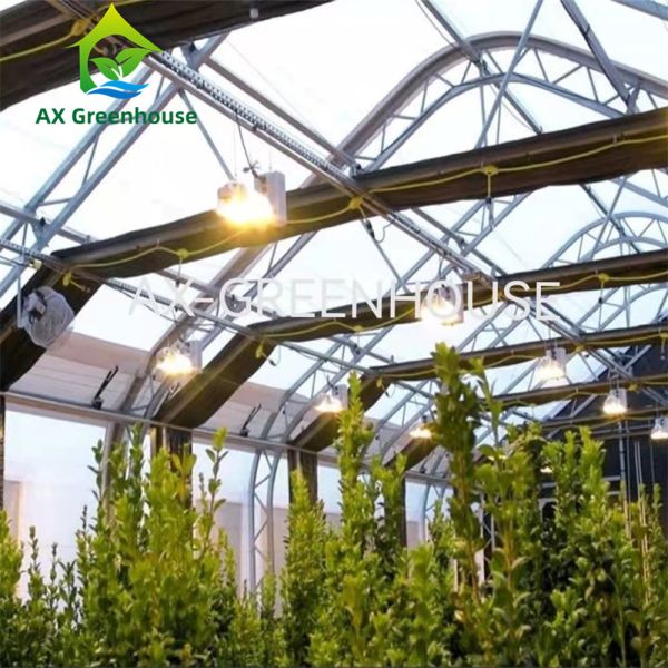 Medical Herb Planting Light Deprivation Blackout Greenhouse For Mushroom