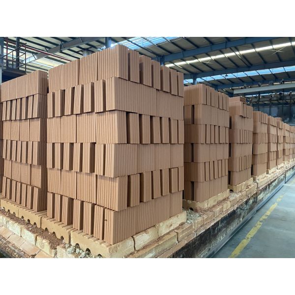 Customized Red Clay Blocks Tunnel Kiln Brick Factory Process Design for Iran, Iraq and Afghanistan Markets
