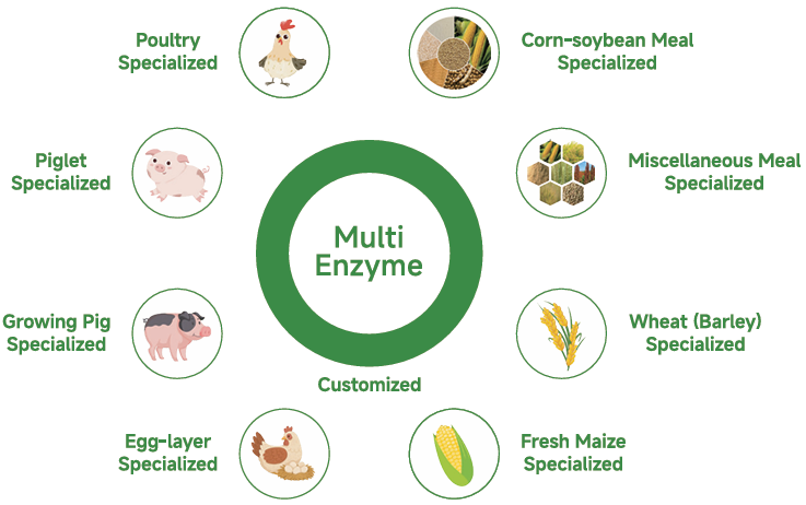 Animal Feed Multi-enzyme Compound Enzyme NSP Enzyme For Livestock Poultry Customized