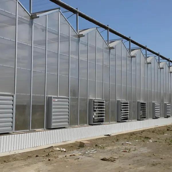 Greenhouse Hot Sale Tomato Green House Venlo Polycarbonate Hydroponics Greenhouse Frame For Sale