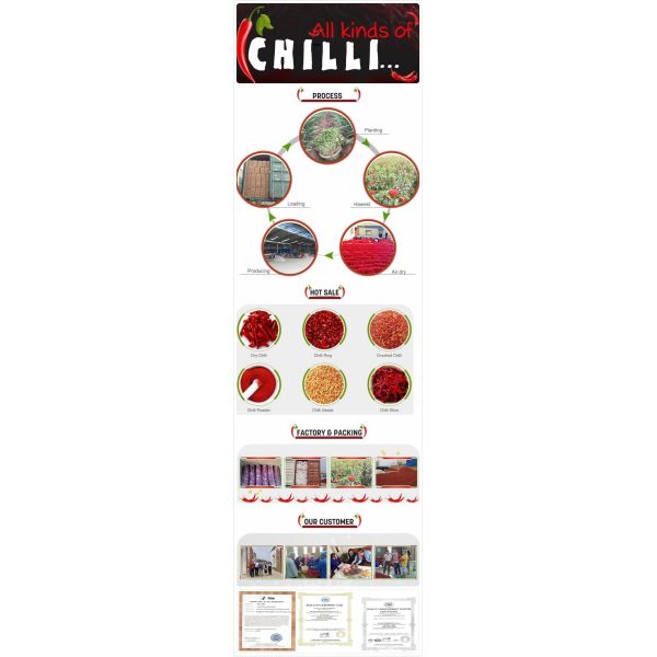 80 Chili земли Asta пудрит SHU500 обезводили семенить перец Chili