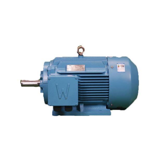 380V 400V 415V 660V Asynchronous Three Phase Motor For Power Station