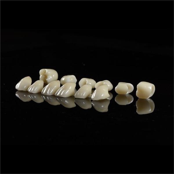 Full Coutour Arch Zirconia Fixed Dentures Crown Biocompatible Material