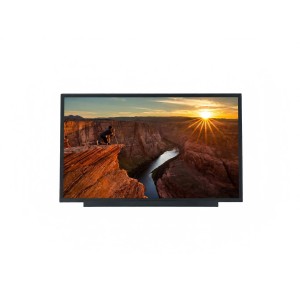 TFT LCD Module