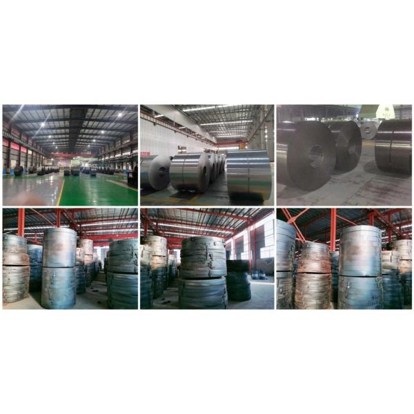 Лист ТИСКО ППГИ гальванизировал холоднокатаную рулонную сталь с полимерным покрытием СГКК СГКХ СГК340