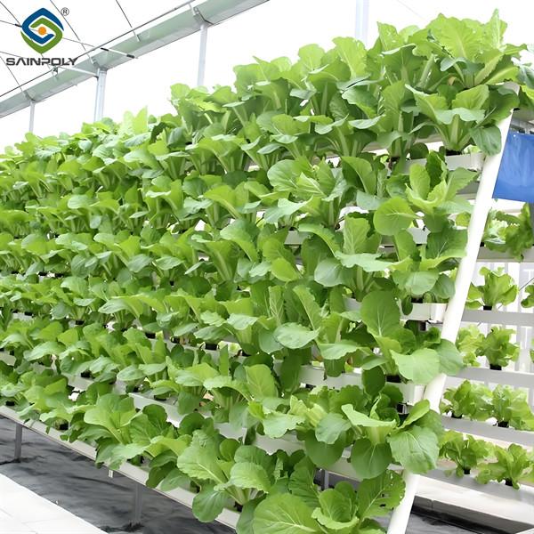 Soilless Culture Tomato Greenhouse With Nft Hydroponic System