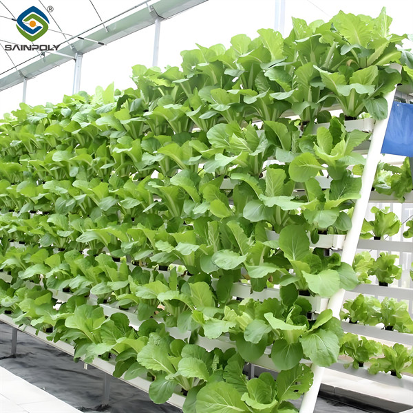 Vegetable Fruits Growing Farm Hydroponic Greenhouse Vertical / Horizontal NFT