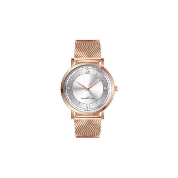 Interchangeable Strap Stainless Steel Quartz Dress Watch SS Back Cover
