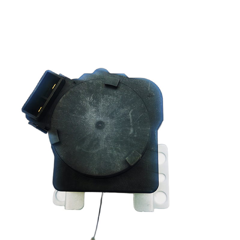 Motor de drenaje comercial de plástico metálico XPQ-6C2 para la lavadora Samsung Parte 100V 127V