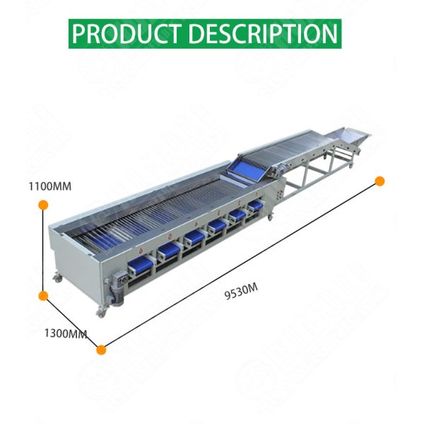 Carrot Onion Potato Grading Machine Fruit And Vegetable Sorting Machine