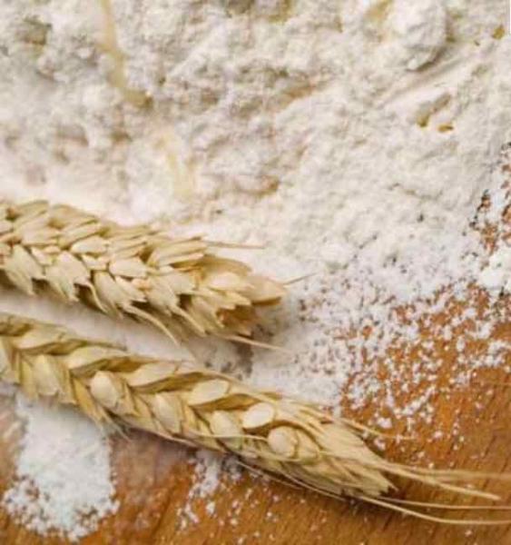 Nissan 5000kg corn flour mill Wheat flour processing machine