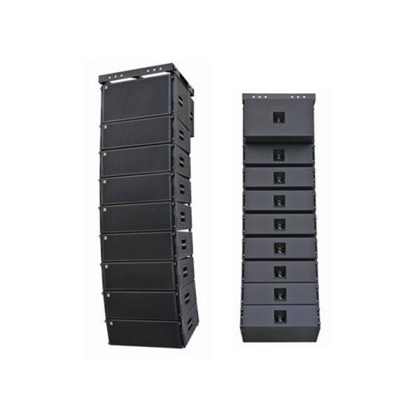 Double 10 Inch Passive Line Array Speaker Cabinet Design Birch Plywood