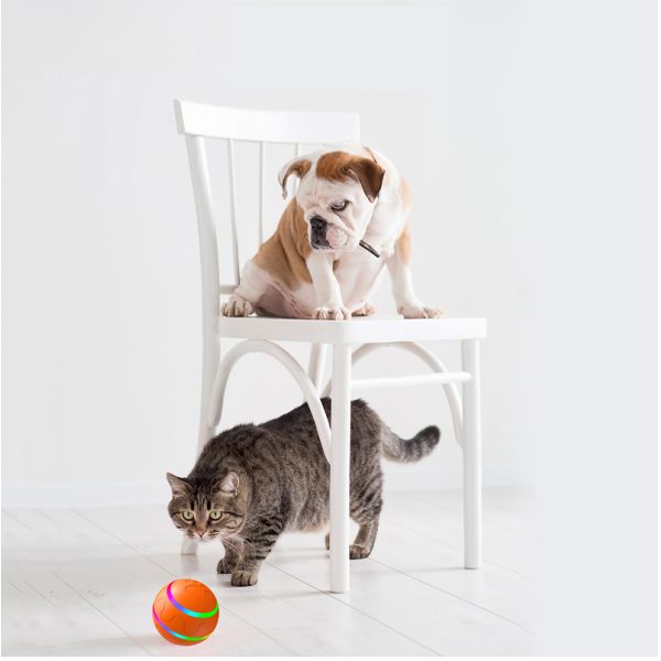 Cat Dogs Activated USB Rechargeable Indoor Wicked Ball for Small Medium Large