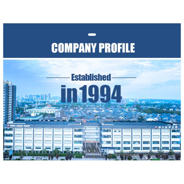 Hubei Haixin Anti-static Disposable Shoe Cover Supplier Medical Plastic Overshoes Wholesale Nonwoven Non slip Shoe Covers