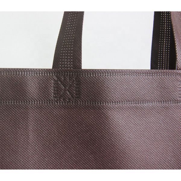 Изготовленный на заказ напечатанный логотип повторно использует бакалею Tote хозяйственная сумка Pp ткани Nonwoven не сплетенная