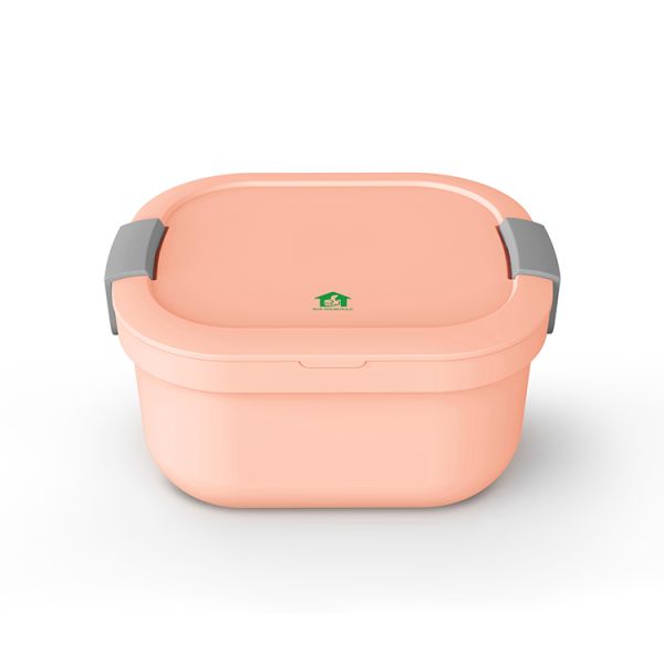 Large Capacity Take Away BPA Free Eco Friendly Food Container with Lid Fork and Knife